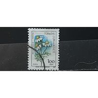 РАСПРОДАЖА ТУРЦИЯ 1985г. Полная серия. Гаш.