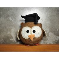 Учёная сова Плюшевая вязаная мягкая игрушка амигуруми  интерьер ручная работа handmade кукла