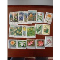 Флора сборный 25 шт