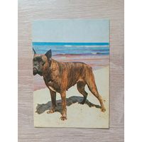 Календарик 1991