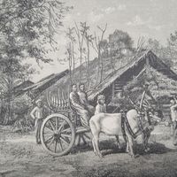 ВИДЪ НА МАЛАКСКОМЪ ПОЛУОСТРОВЕ. гравюра конец 19в.27х17.5см.