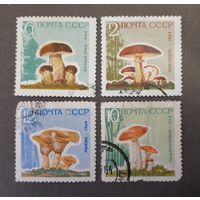 СССР. 1959 год. Флора. Грибы. 4 марки