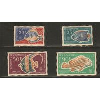 Коморы-1968(Мих.88-91),  *,    Морская Фауна ,Рыбы, (полная серия)