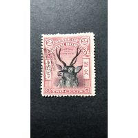 Великобритания. Северное Борнео\388с\ фауна 1897. зубц.15