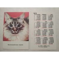 Карманный календарик. Котик.1993 год