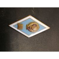 Знак ВУЗ тяжёлый