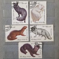 Марки пушные звери 1980 СССР