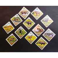 Гвинея 1975 г. Дикие животные. Фауна Африки, полная серия из 12 марок #0227-Ф1P44