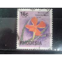 Родезия, 1976. Цветы