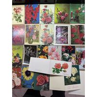 Открытки цветы.цена за все.