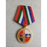 Медаль. Совместное оперативное учение Щит союза 2015 МО РФ.