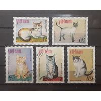 Вьетнам. 1979 год. Фауна. Кошки (5 марок из серии, есть помятость на двух марках)