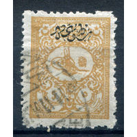 Османская Империя (Турция) - 1901г. - тугра Абдул Хамида II, 5 Pia - 1 марка - гашёная [Mi 113 A]. #4-W2-126-A-1