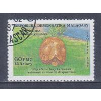 [577] Мадагаскар 1987. Фауна.Черепаха. Гашеная марка.