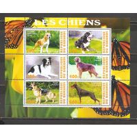 ФФ3 Бурунди 2009 Собаки