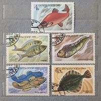 Марки рыба 1983 СССР