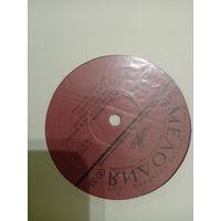 Виниловая пластинка