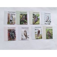 Беларусь  2023 8 м совы