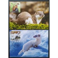 Беларусь 2020 КМ звери, тираж 30 экз. .