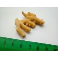 Коралл маленький 3,5 на 3 см