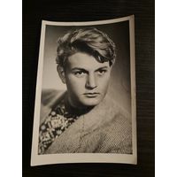 Артисты Панич