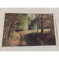 Открытка - Подмосковье. 1968