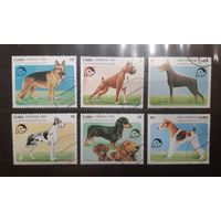 Куба. 1992 год. Фауна. Собаки (776)