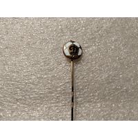 Футбольный клуб Динамо Киев тяжёлый