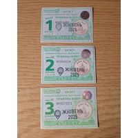 Набор декадных проездных Брест, август 2025 г.