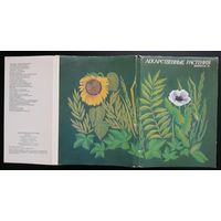 Комплект из 32 больших открыток (полный) Лекарственные растения 1987 Выпуск 5 Шипиленко