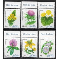 Молдова 2024. Флора. Полевые цветы 4 марки (884)