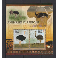 Джибути 2013** Животные Африки