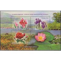 Россия. 2007г. Цветы. Флора.