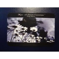 Календарик 2007 г.  ИПП "Новик". Жизнь-это вечность в миниатюре.