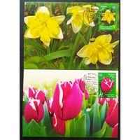 Беларусь 2017 КМ цветы