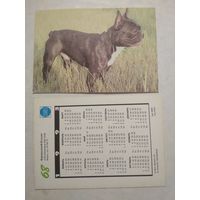Карманный календарик. Собака.1993 год