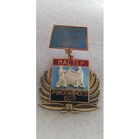 Мастер рукопашного боя воздушно-десантные войска*