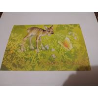 Открытка 1986г. Художник А. Исаков.