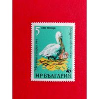 Болгария. Фауна. ( 1 марка ) 1984 года. 8-2.