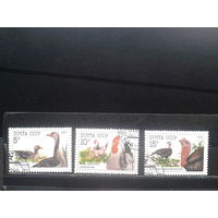 1990. Домашняя птица, полная серия