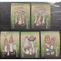 Беларусь 1998. Грибы. Полная серия