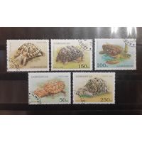 Азербайджан. 1995 год. Фауна. Черепахи (119)