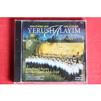 Yerachmiel Begun & The Miami Boys Choir - Can You Here Our Voice (2001, CD)