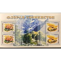 Марки Таджикистан 1999 Грибы блок MNH