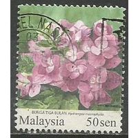 Малайзия. Садовые цветы. Гортензия. 2010г. St#1758.