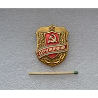 Дружинник.