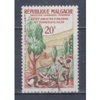 [1631] Мадагаскар 1960. Флора.Деревья.Озеленение. Одиночный выпуск.Гашеная марка.