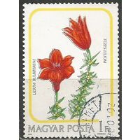 Венгрия. Лилия лукавиценосная. 1985г. Mi#3788.