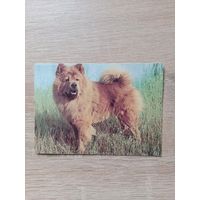 Календарик 1993