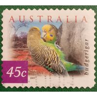 Австралия 2001. Фауна. Попугаи. Budgerigar